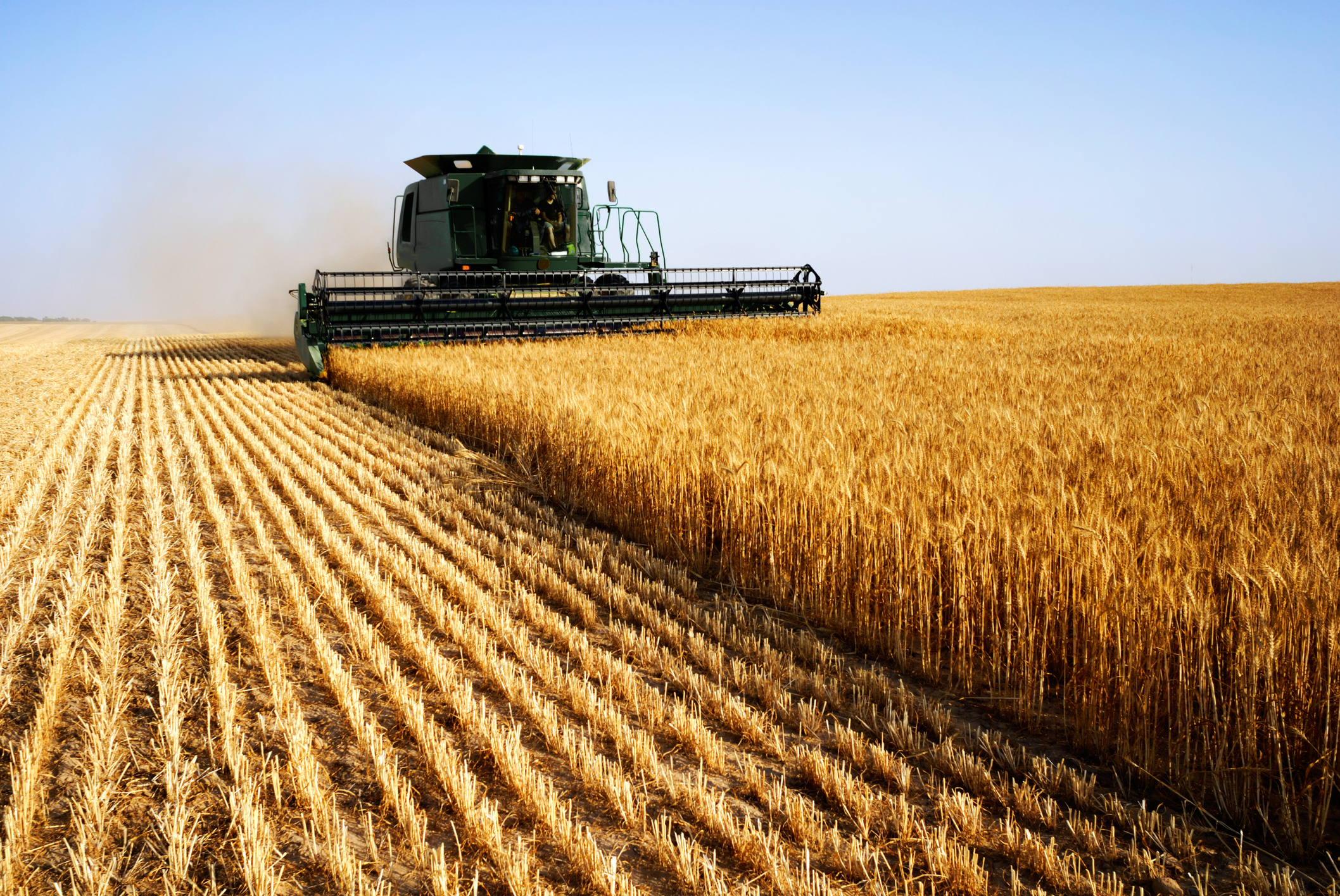 Helping your money grow: FX in the agriculture sector